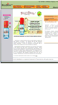 Mobile Screenshot of bellybiotic.com
